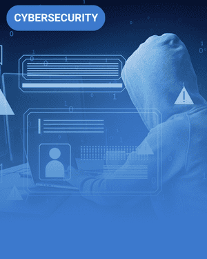 The Anatomy of a Phishing Email